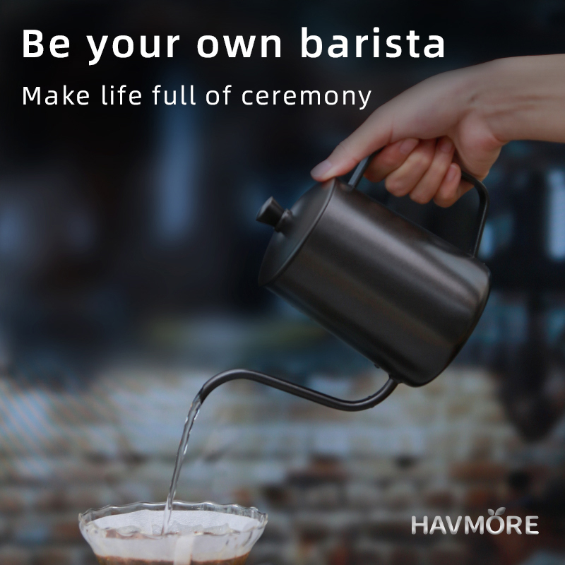 HAVMORE Teekessel aus Edelstah – Coffee Tea Brew Bewertung und Preis
